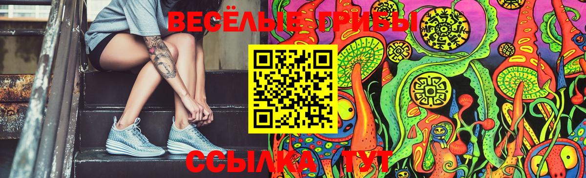 Псилоцибиновые грибы Cubensis  Вход с VPN  Евпатория 